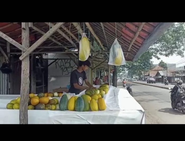Pedagang buah timun suri di Kemang mulai merapihkan lapak dagangan./Dok.Apakabarbogor.com./Dok.Yon