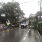 Pohon tumbang di jalan raya Dramaga menimpa mobil Box.
 (Dok. Polres Bogor)
