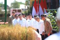 Presiden Prabowo Subianto melakukan kunjungan kerja di Provinsi Sumatera Selatan (Sumsel) yang didampingi oleh Menteri Pertanian Andi Amran Sulaiman. (Dok. Biro Pers, Media, dan Informasi Sekretariat Presiden)